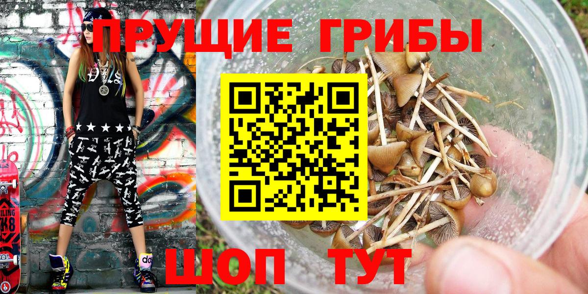 Галлюциногенные грибы мухоморы Горно-Алтайск